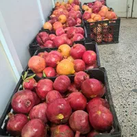 انار شیرین و آب دار (کله ای)