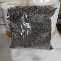 گل محمدی اعلا