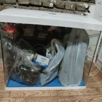 اکواریوم شرکتی شیشه خم اکووا