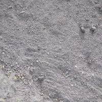 راهنمایی باغبانی