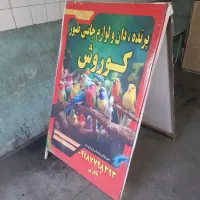 ۲عدد تابلو بنر خور