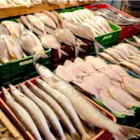 ماهی خوردنی