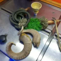 وسایل قلیان