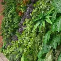 پیتزا زن،نیروی کار اقا وخانم،پیک موتوری