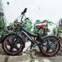 دوچرخه