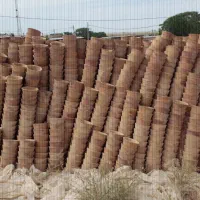 گلدان سفالی گل