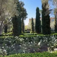 اجاره-آپارتمان-بر-خیابان-جهت-مطب-اداری-صدرا