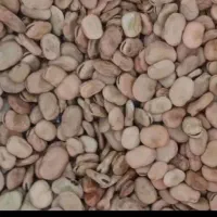 باقله تمیز بشرط تخیف محرمی حراج
