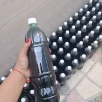 شربت نعنا