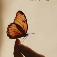 مدارک گم شده