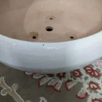 گلدان زیبا|گل و گیاه طبیعی|پاکدشت, شهرک امام رضا|دیوار