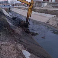 اجاره بیل مکانیکی