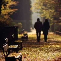 مدلینگ و هنر