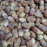 خرمایه زاهدی