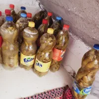 خیارشورویژه