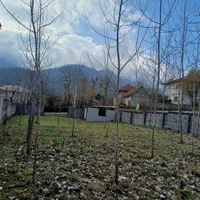 زمین ۵۰۰ متری سند دار|فروش زمین و ملک کلنگی|ماکلوان, |دیوار