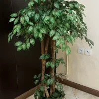 درختچه مصنوعی بنجامین