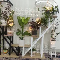 استند فلزی و چوبی ایستاده|کتابخانه، شلف، قفسه‌های دیواری|شاهرود, |دیوار