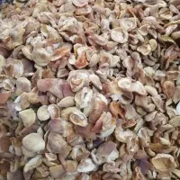 برگه زردآلو|خوردنی و آشامیدنی|یزد, |دیوار
