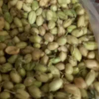 پیله نخود سبز