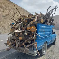 چوب ذغالی.چوب کبوده