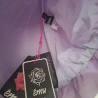 شومیز مجلسی|لباس|بوشهر, |دیوار