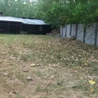 فروش کارخانه چوب بری