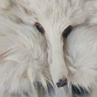 کلاه روسی (کت پوست)