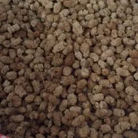 توت خشک شیرین و خوشمزه  ‌