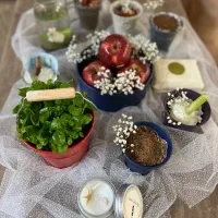 ظروف هفتسین،گلدان