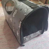 کیف گربه|لوازم جانبی حیوانات|تبریز, |دیوار