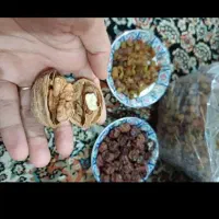 گردو کشمش الوچه|خوردنی و آشامیدنی|مشکین‌دشت, |دیوار