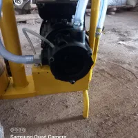 شیر دوش|لوازم جانبی حیوانات|مهربان, |دیوار