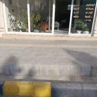 مغازه-20-متری