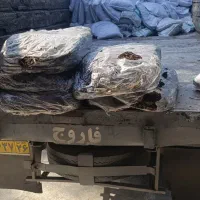 قارچ|خدمات باغبانی و درختکاری|گرگان, |دیوار