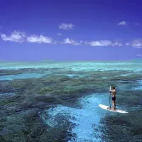 اجاره پدل برد حرفه ای