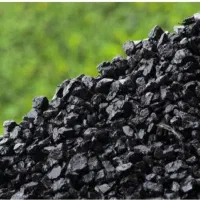 کارگاه-صنعتی-تولید-چیپس-چوب-و-زغال