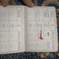 فروش یه قلاده سگ مالینویزیک ساله قیمت ۸تومن مقطوع|سگ|سمیرم, |دیوار