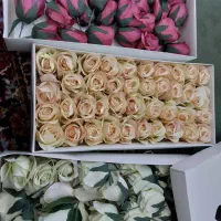 گل مصنوعی برای گل آرایی حجله وماشین عروس|گل مصنوعی|تالش, تالش|دیوار