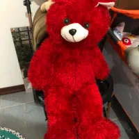 عروسک نونو|اسباببازی بچه|پرند, فاز ۶|دیوار