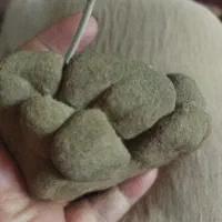 سنگ مرجانی فسیل