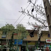 مغازه تجاری فاز ۱/سند دار /تابلو خور