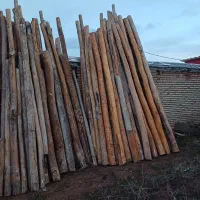 خریدار چوب و ساختمانی و فروش