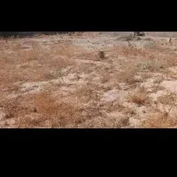 زمین 200متری طرح 20هکتاری