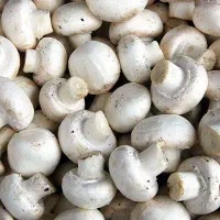 قارچ دکمه ای