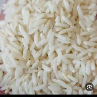 فروش برنج الکاظمی مشمپا