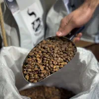 فروش قهوه / کافه / آسیاب برای خانگی