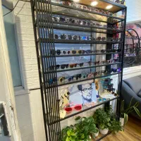 دکور|کتابخانه، شلف، قفسههای دیواری|نور, |دیوار