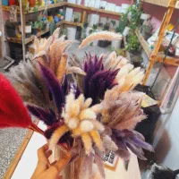 گل خشک دم رباهی بسته ۱۰تایی ۳۵تومن|گل مصنوعی|رشت, فلسطین|دیوار