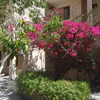 نیازمند همخونه خانم مرکز شهر روبروی بازار پردیس